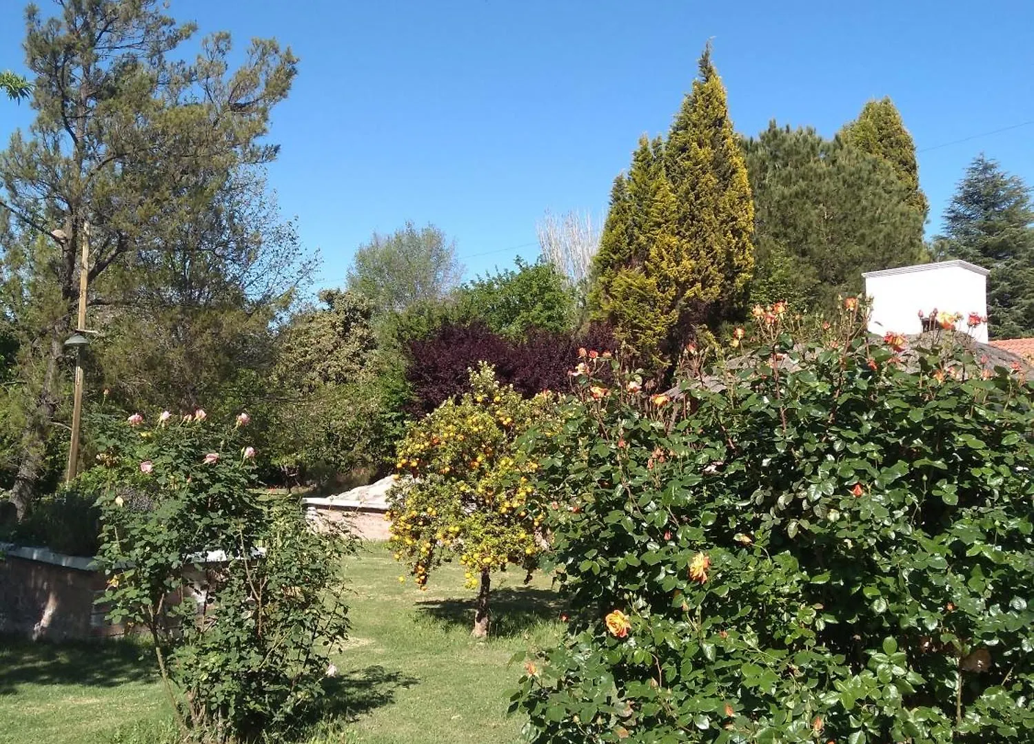 Casa Amplia, Jardin Maravilloso Guaymallen