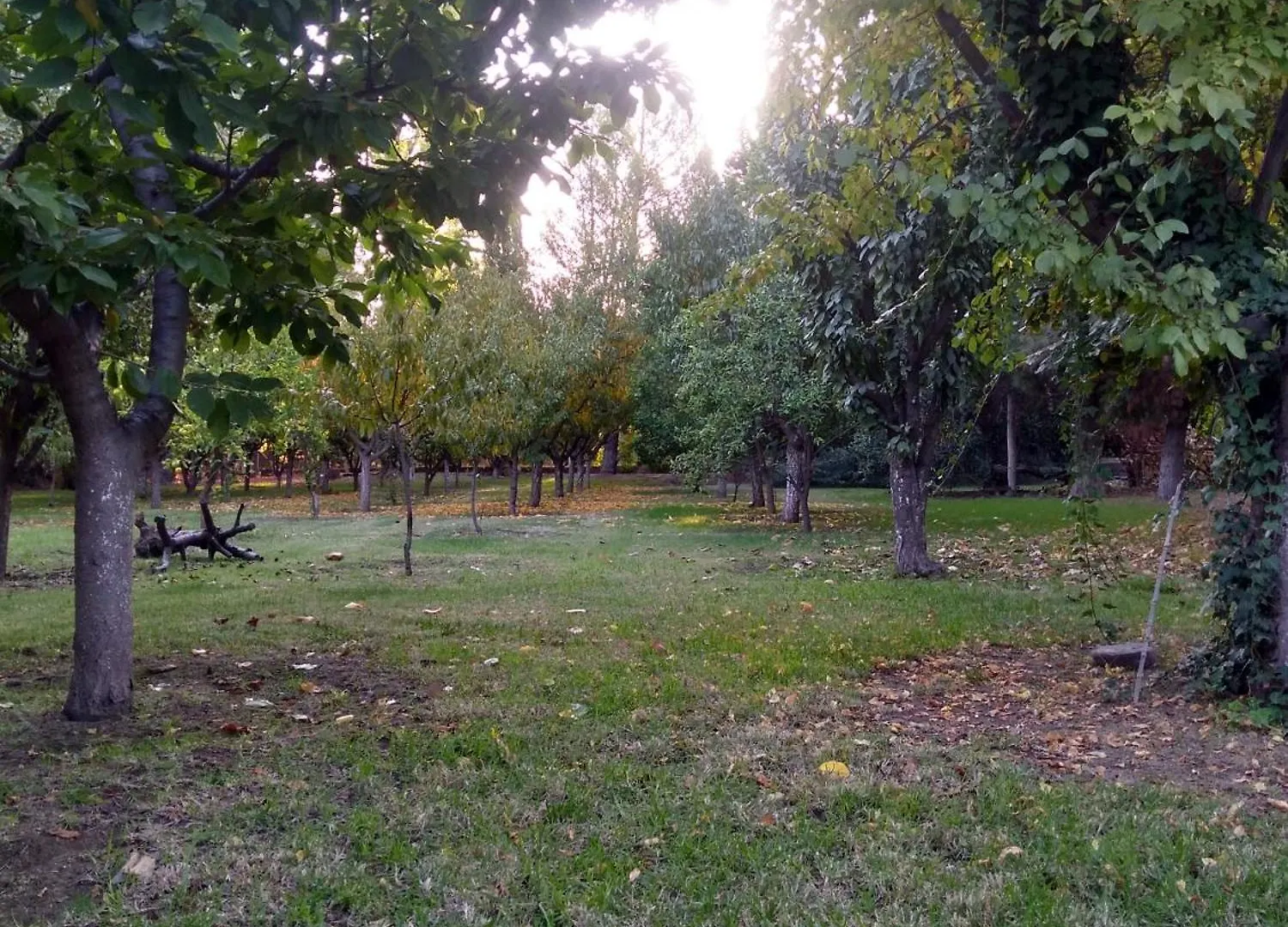 Casa Amplia, Jardin Maravilloso Guaymallen 0*,  Argentina